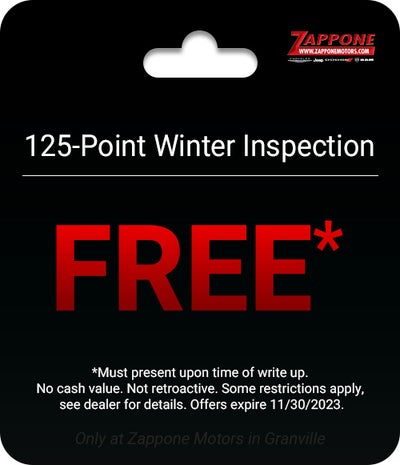 125-Point Winter Inspection